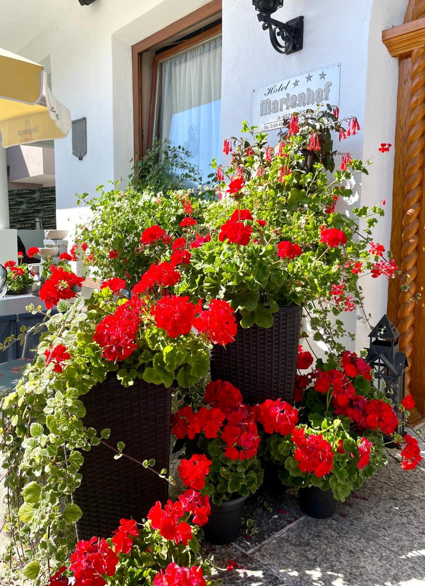 Hotel Marienhof ฟลีส ภายนอก รูปภาพ
